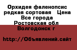 Орхидея фаленопсис редкая сортовая › Цена ­ 800 - Все города  »    . Ростовская обл.,Волгодонск г.